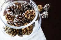 DIY Glittered Pine Cones Vase Filler